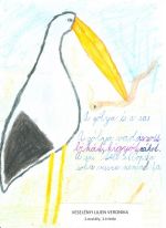 Veselényi Lilien Veronika.jpg